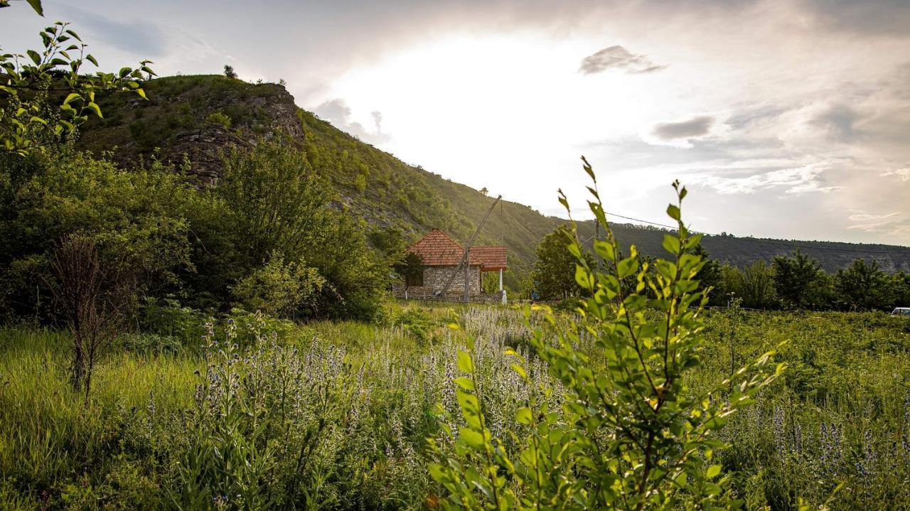 Casa Agricultorului Varzari Butuceny Eksteriør bilde